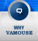 About Vamouse Hosting